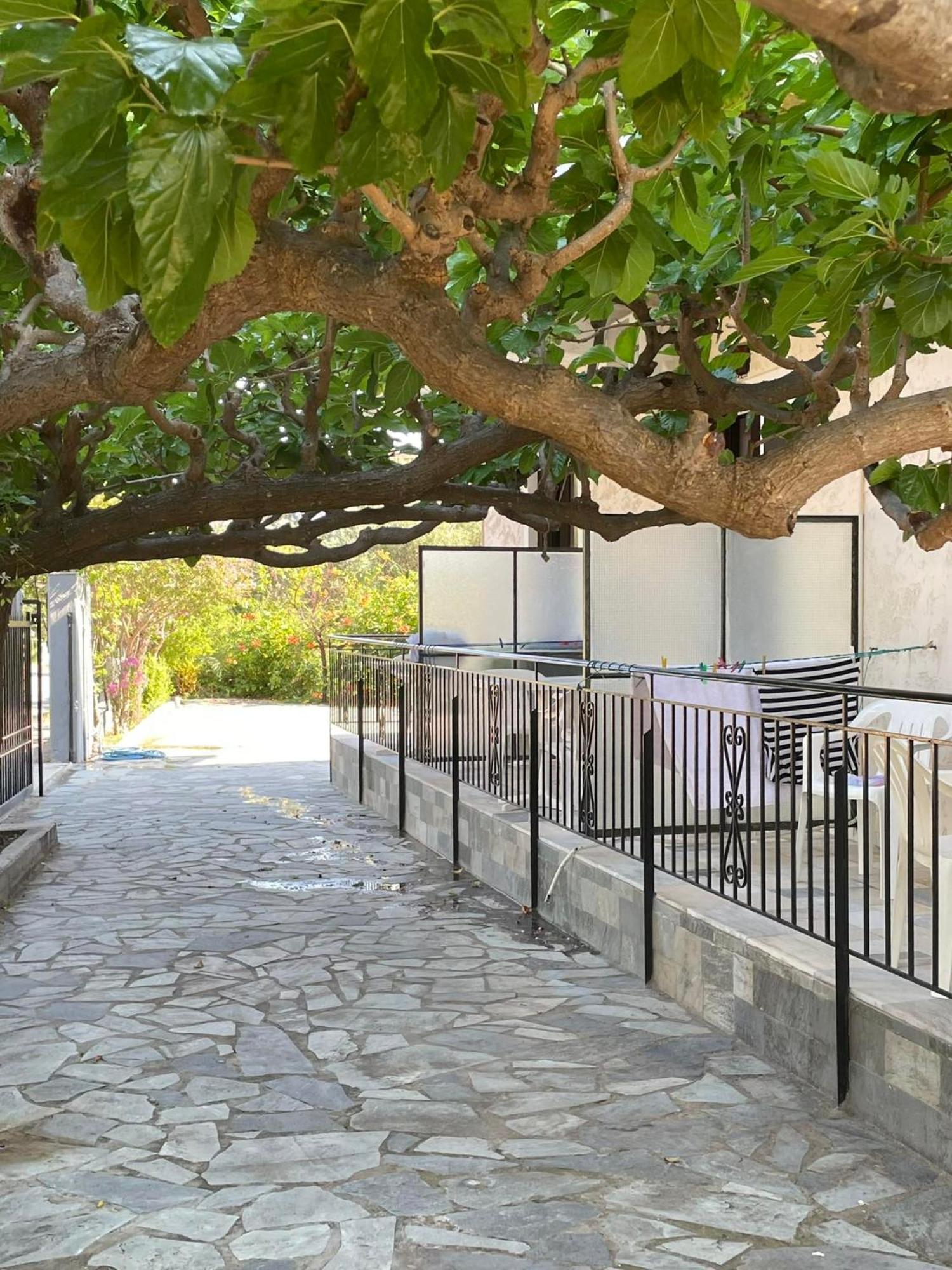 Yfantis Sakis Apartment'S Ератини Екстериор снимка